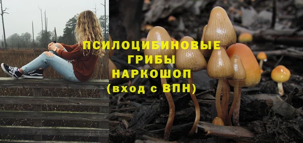 mdma Гусев