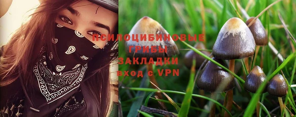 mdma Гусев