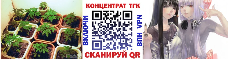 Дистиллят ТГК THC oil  Купить где  Благодарный 