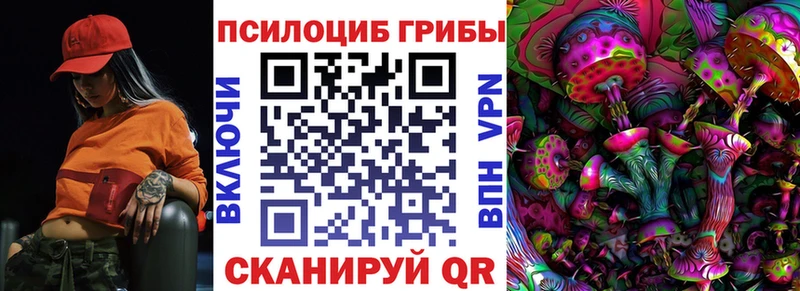 Купить где Благодарный Галлюциногенные грибы прущие грибы